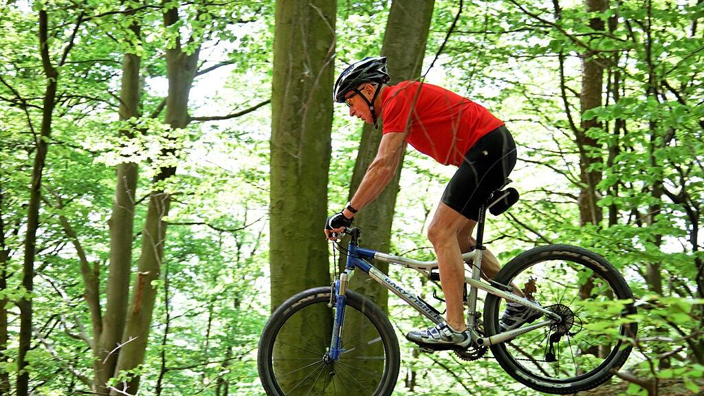 Besonders hochwertige Mountainbikes standen im Fokus der Diebe.