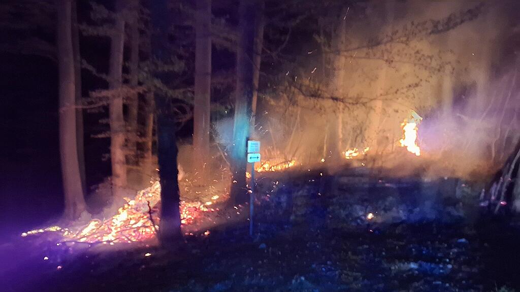 waldbrand henndorf