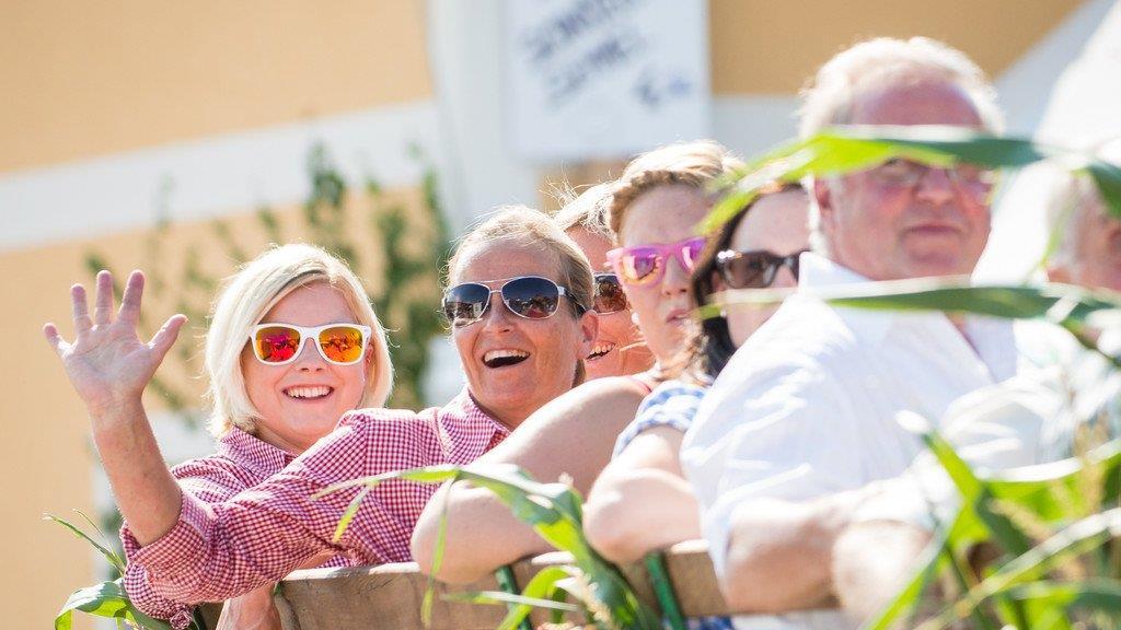 Walser Dorffest 2015, II