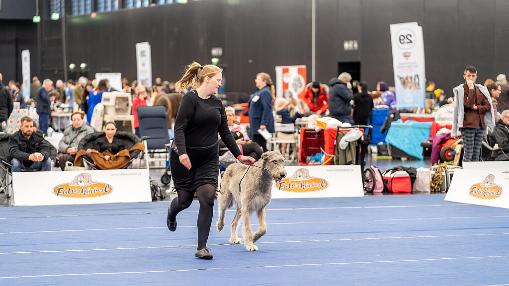 Internationale Hundeausstellung Salzburg 2022
