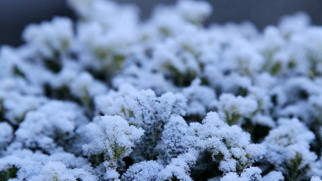 Frost am Morgen