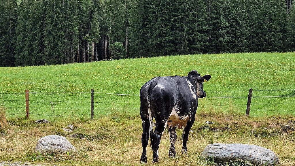 kalb obersulzbach