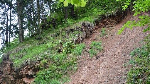 Hochwasser-Schäden in der Glasenbachklamm