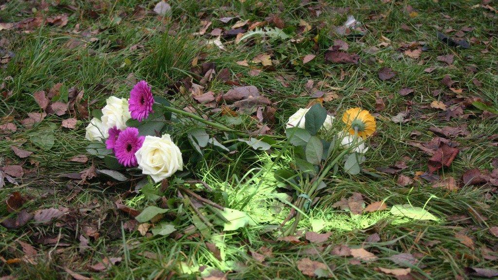 Mehr Pics der Unfallstelle