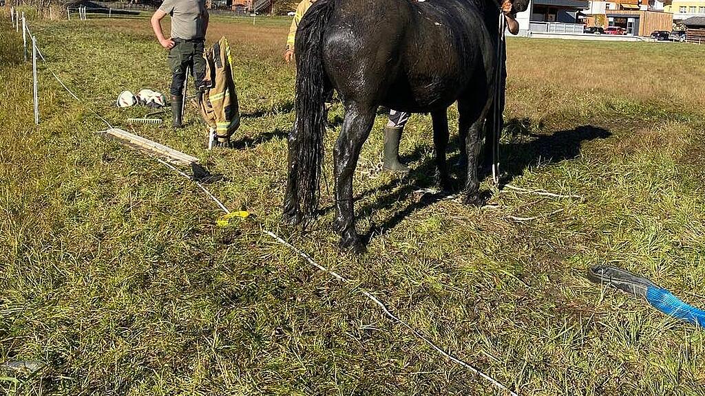 Pferd drohte in Bad Hofgastein zu versinken