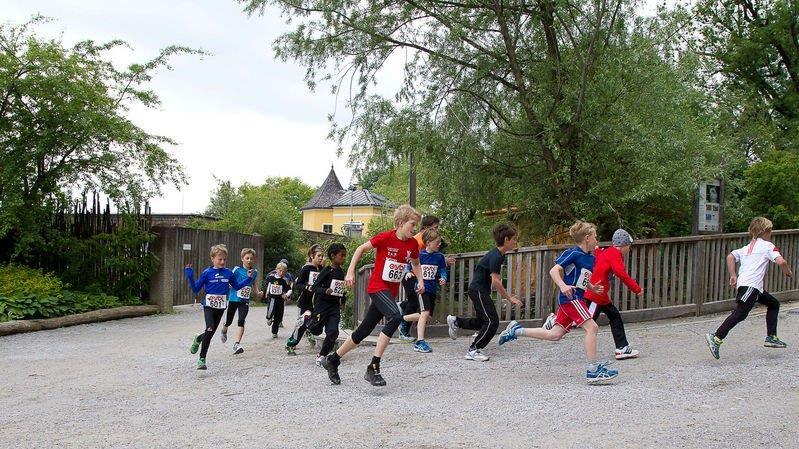 1. Salzburger Zoolauf