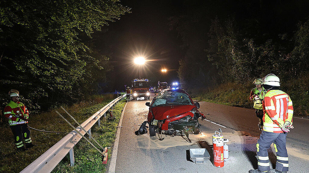 Reh_Unfall_Piding