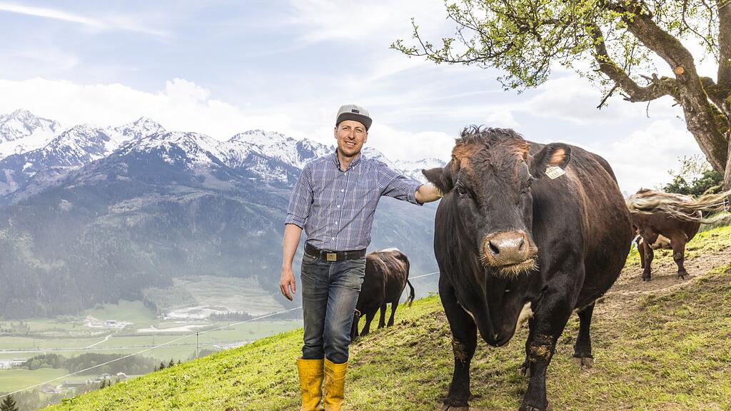Toni aus dem Pinzgau mit seinem Tuxer Rind auf einem seiner Höfe.
