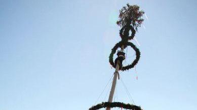 Maibaumaufstellen in Hof