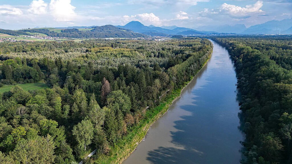 Salzach Antheringer Au