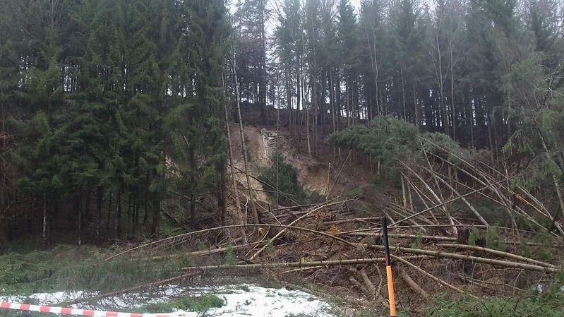 Hang rutscht auf L220