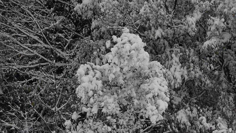 Winter in Ebenau
