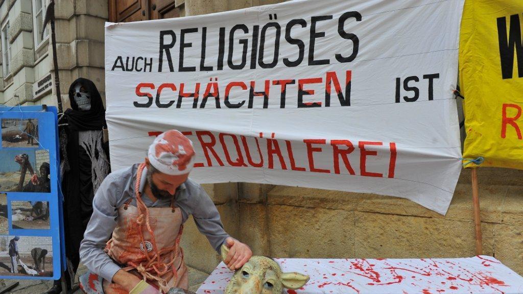 Tierschutz in die Verfassung: Protest in Wien (15.10.12)
