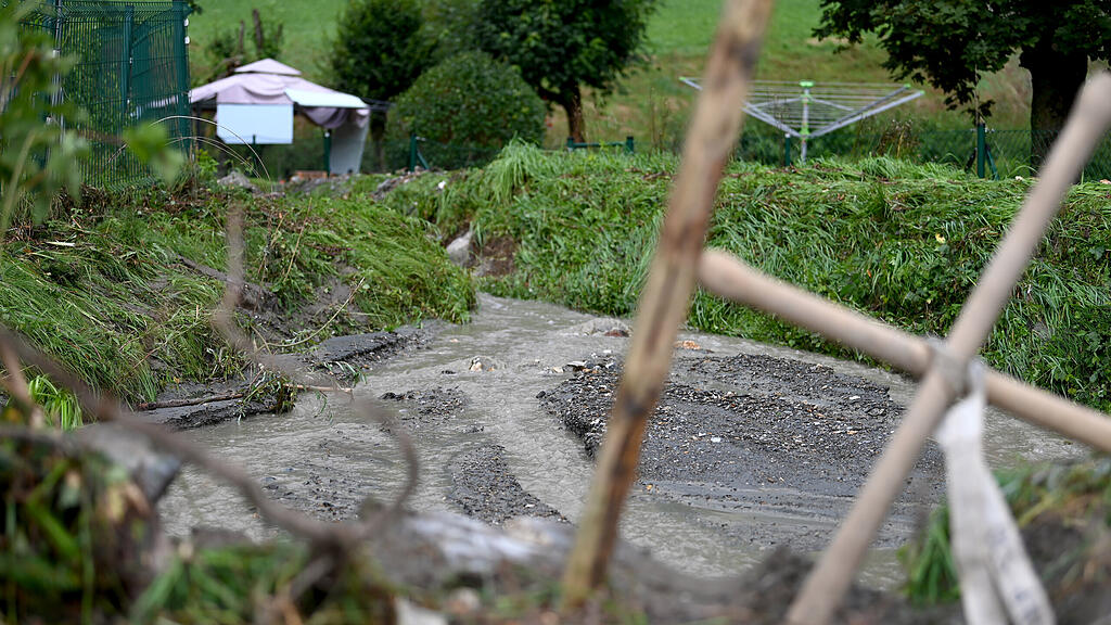 Meldungsliste(1)(4).jpg