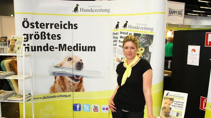 Festival der Hunde