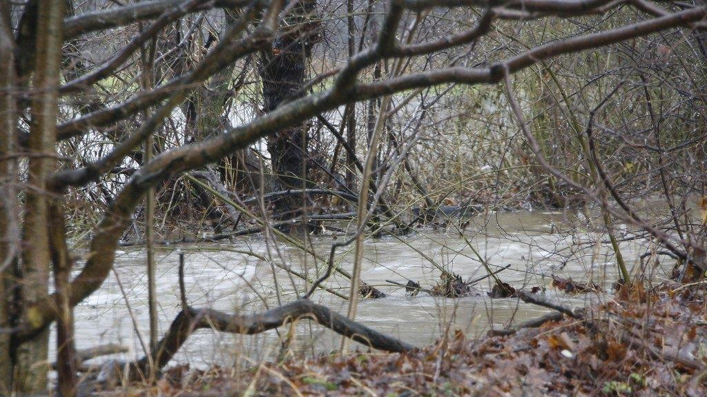 Hochwasser in Petting