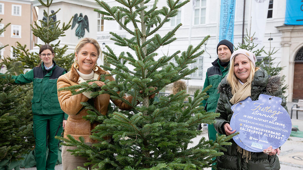 Christbäume am Mozartplatz