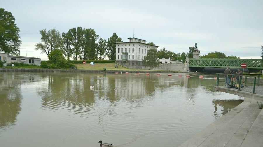 Leserreporter: Hochwasser in Wien-Döbling (Donau bei Nussdorf)