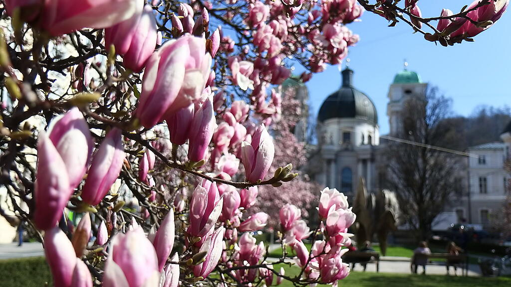 20190429fmt_makartplatz_ta_001.JPG