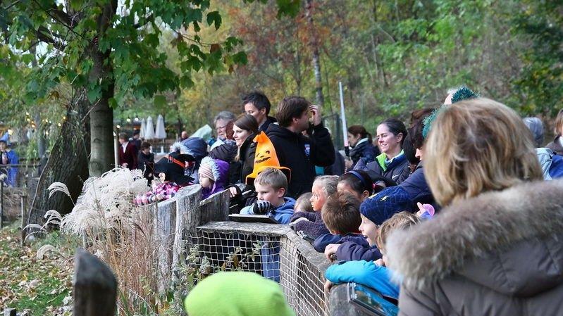 Halloween im Zoo