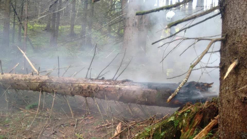 Waldbrand bei Uttendorf