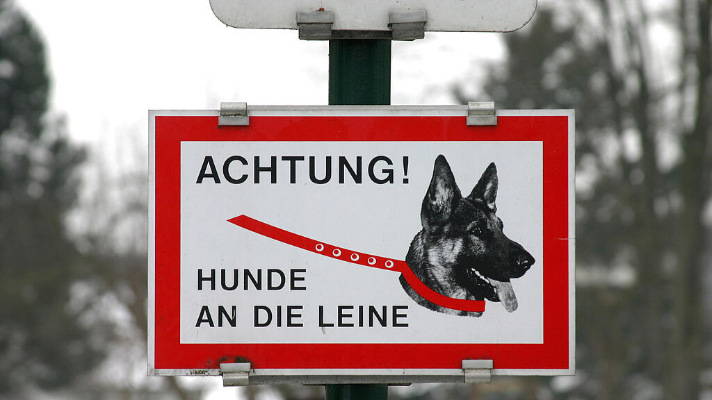 Beim Spazierengehen kam es zu den tödlichen Bissen. (Symbolbild)