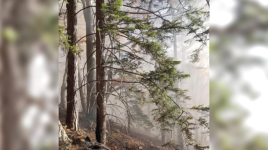 Flughelfer aus Salzburg bei Waldbrand in NÖ