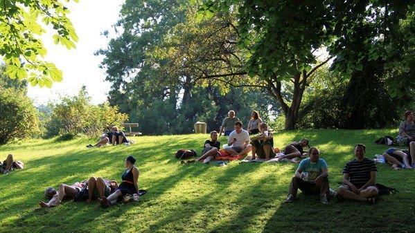 Picknick im Park
