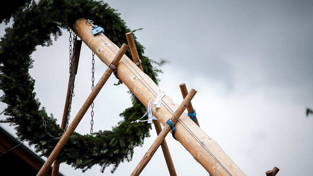 Maibaum, Morzg