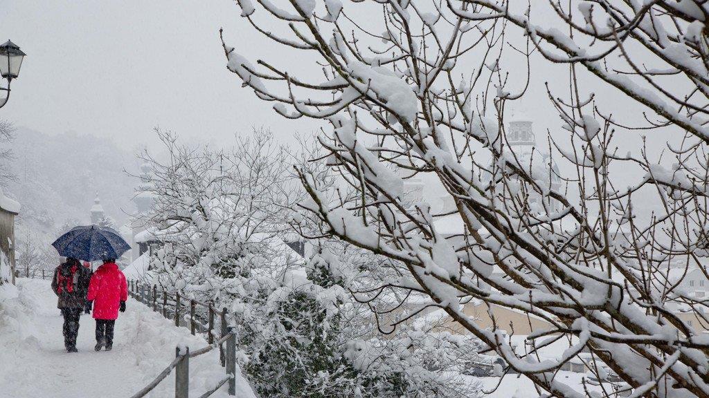 Winterimpressionen aus der Stadt Salzburg
