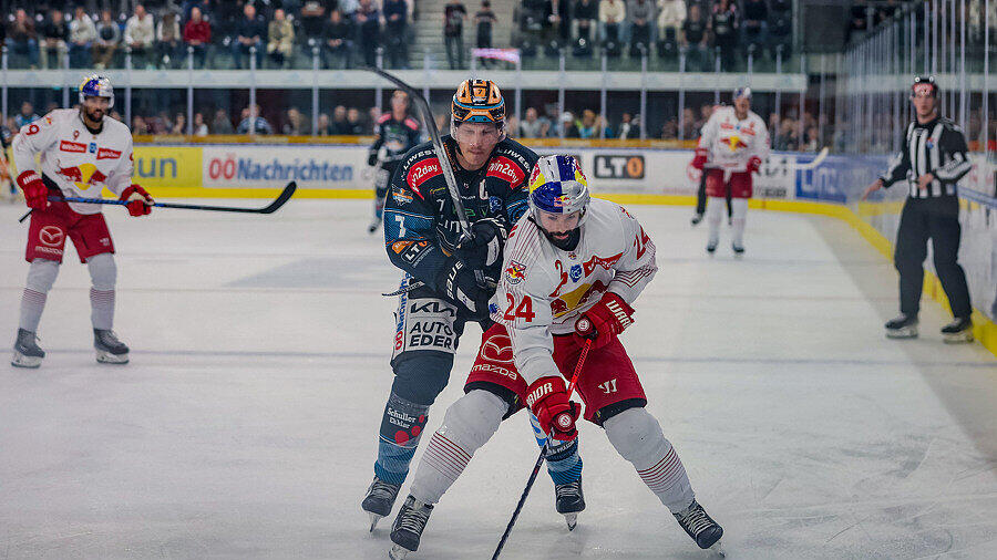 Black Wings Linz - Red Bull Salzburg