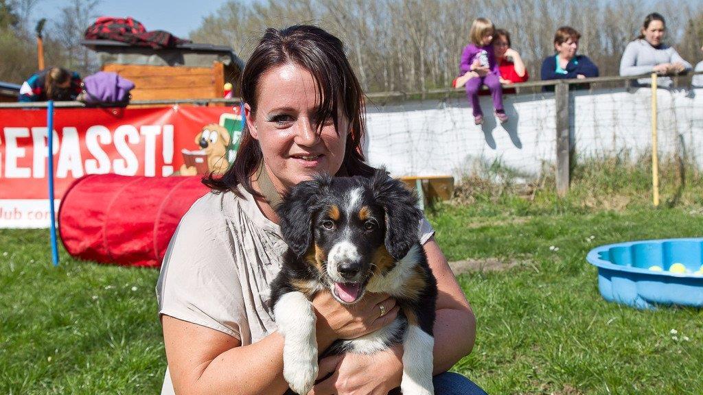 "Der gelbe Hund" in Nußdorf