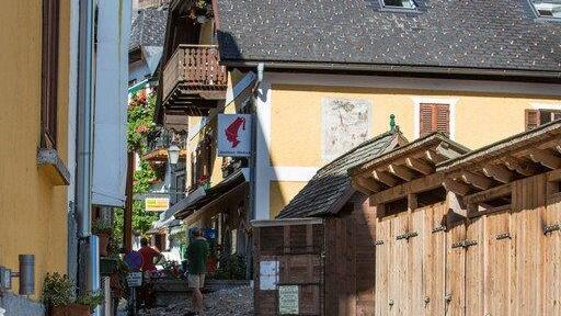 Mure in Hallstatt