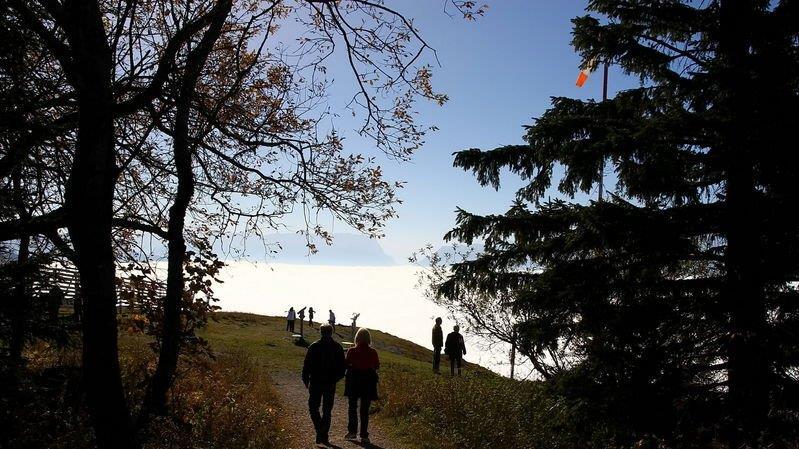 Mehr Bilder vom Gaisberg