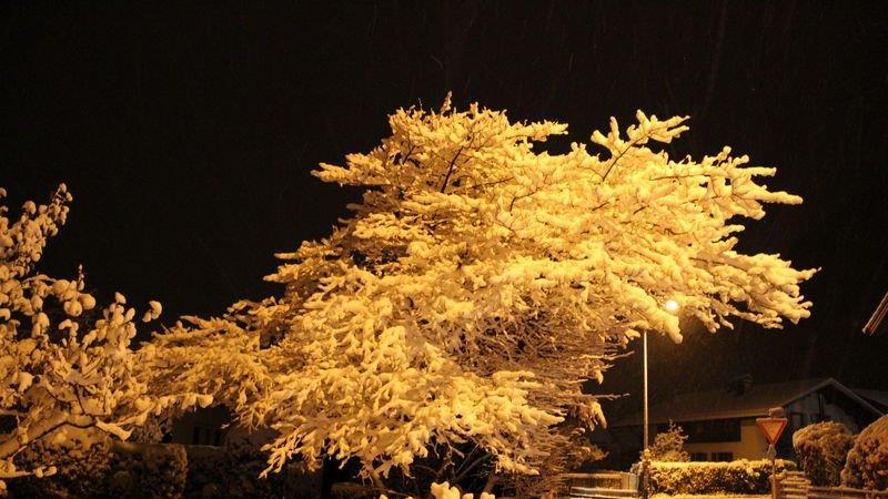 Erster Schnee in Salzburg