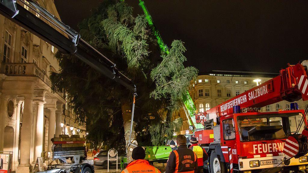 Christbaumaufstellen vor dem Schloss Mirabell