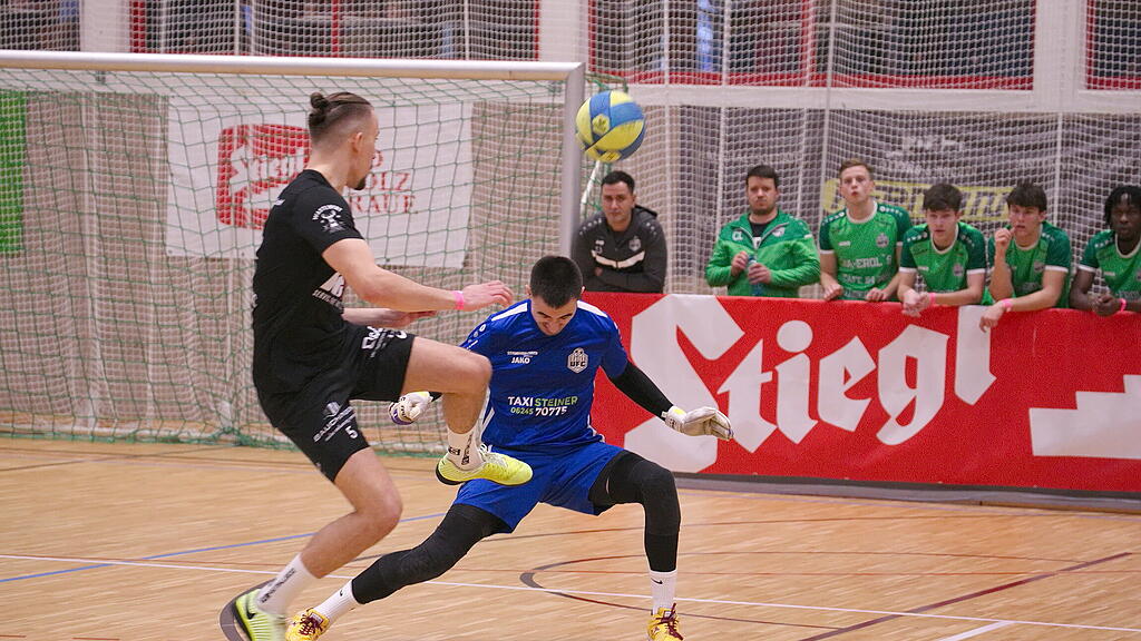 Hallein, Puch, Vincetic