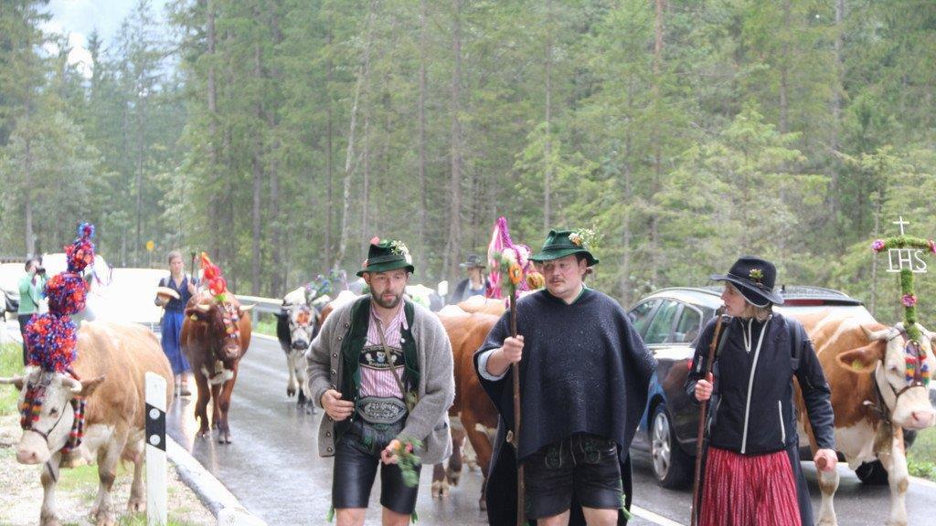Bilder vom Almabtrieb