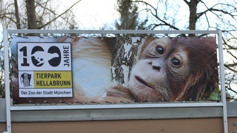 Frühling im Zoo München