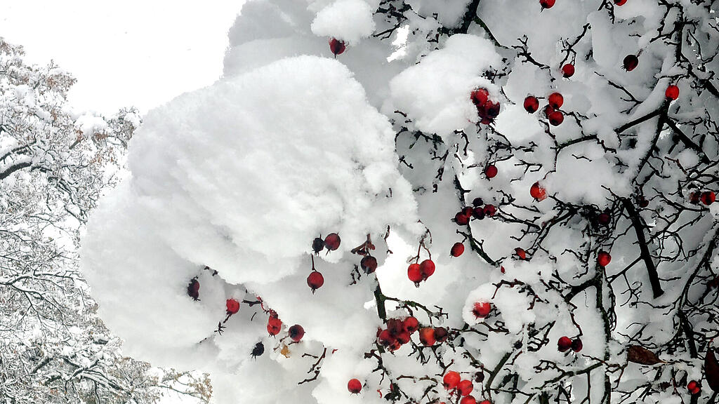 symb_winter_schnee_eis