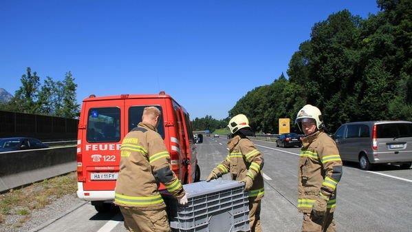 Bilder von der A10