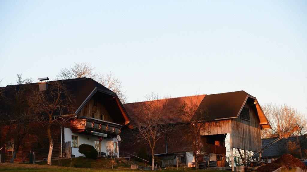 Frühlingserwachen im Flachgau
