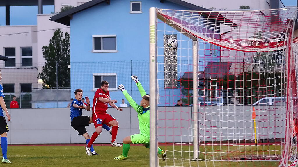 ASV Salzburg, Wals-Grünau, Landescup