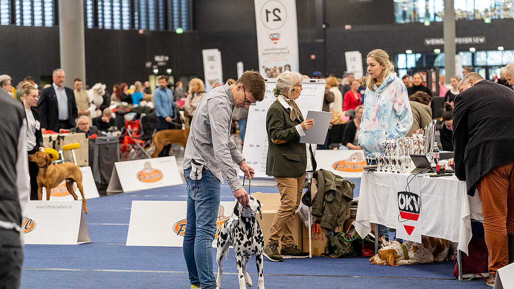 Internationale Hundeausstellung Salzburg 2022