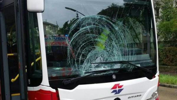 Teile der abgesplitterten Windschutzscheibe trafen den Buslenker