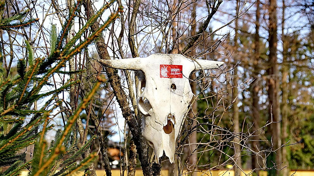 Tag der Krampusse in Hellbrunn