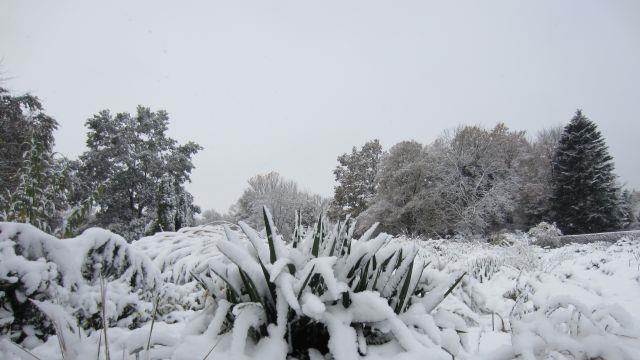 So schön kann der Winter sein