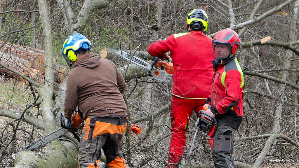 Baumfällungen per Hubschrauber am Kapuzinerberg