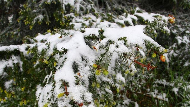 Winterimpressionen vom Gaisberg