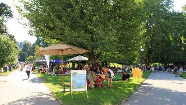 Picknick im Park
